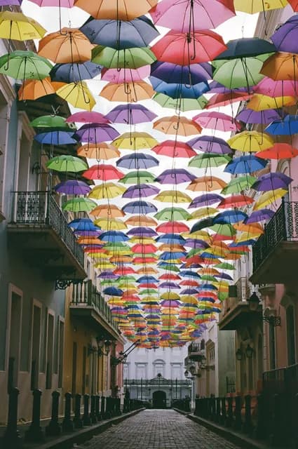 Umbrellas